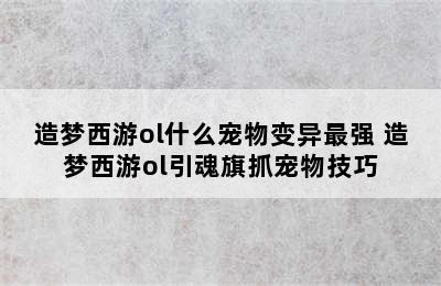 造梦西游ol什么宠物变异最强 造梦西游ol引魂旗抓宠物技巧